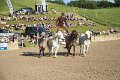 IMG_6811