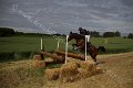 IMG_8012