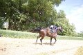 IMG_8051