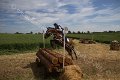 IMG_8091