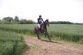 IMG_8132