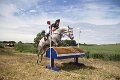 IMG_8159