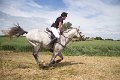 IMG_8164