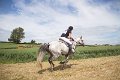 IMG_8167