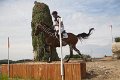 IMG_8319