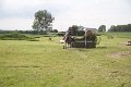 IMG_8505
