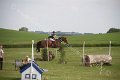 IMG_8521