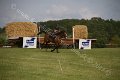 IMG_8601