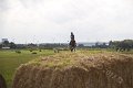IMG_8707
