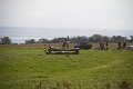 IMG_4596