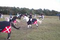 IMG_6097