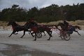 IMG_7753