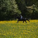IMG_8707