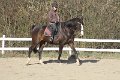 IMG_9311
