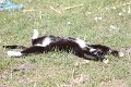 IMG_0336