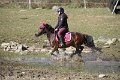 IMG_0931