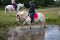 IMG_7131
