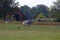 IMG_8513