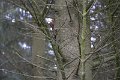 IMG_3061