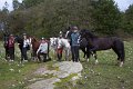 IMG_3623