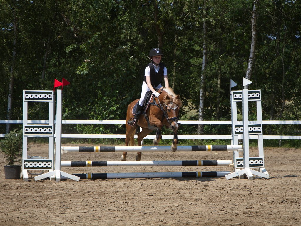 klasse 8