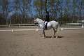 25 - LA1 Pony