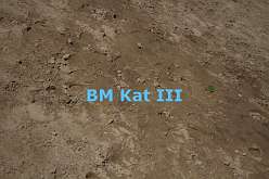 1: 2 - Kat III