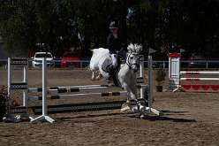 166: IMG_0848
