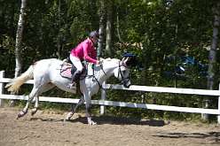 248: IMG_1135