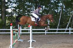 79: IMG_1238