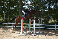 202: IMG_1374