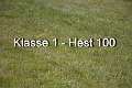 Klasse 1 - H1
