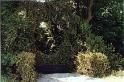 fence2